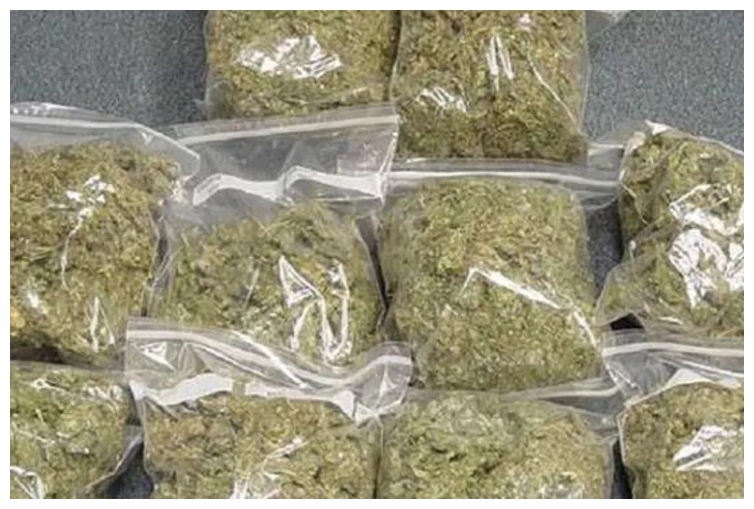 Tripura: Police seized 230 kg of ganja from a vehicle in Dhalai, driver absconded