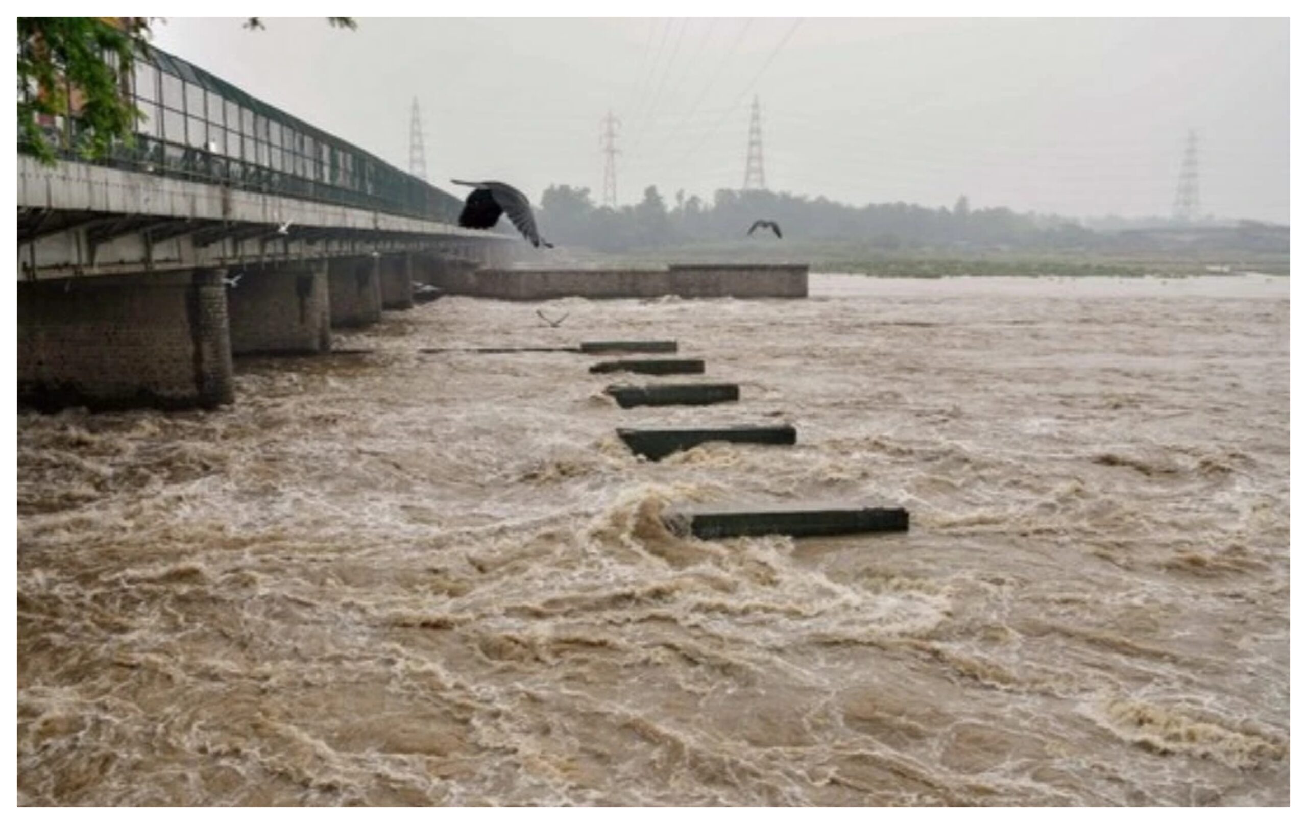 Delhi Flood: Flood threat in Delhi: Yamuna water level above danger mark