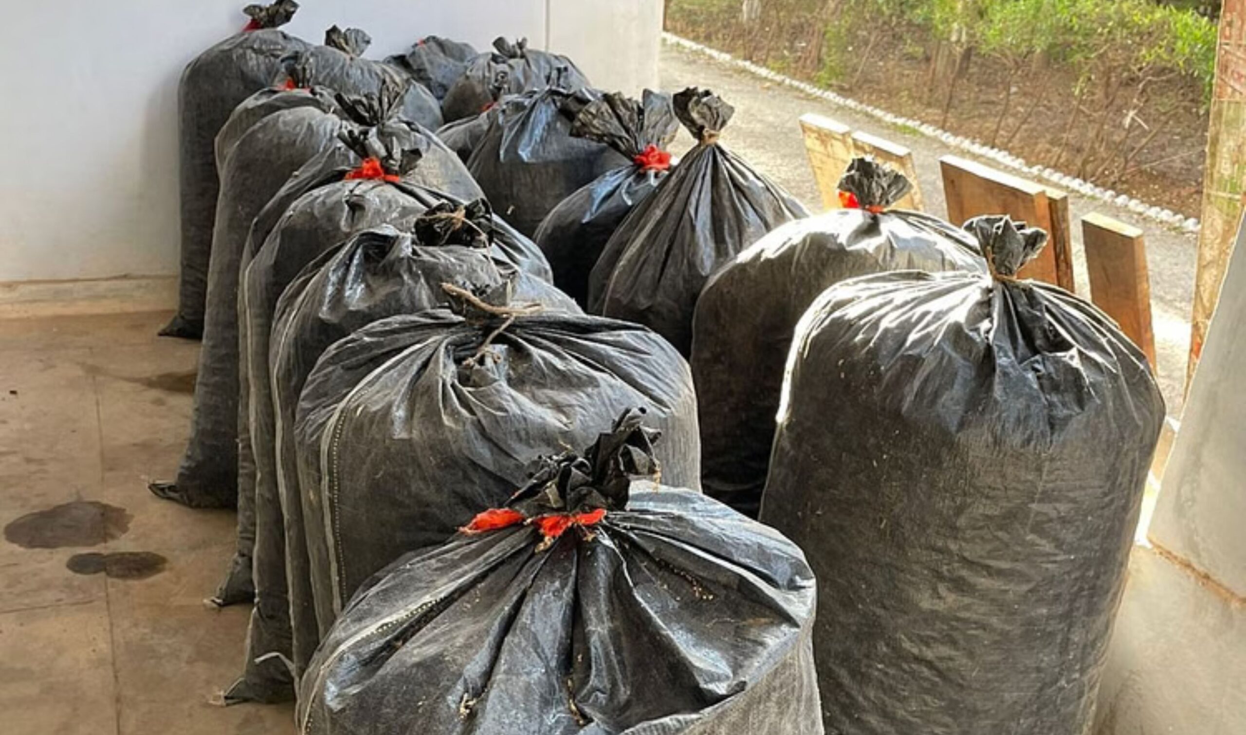 Rajasthan: 1,400 kg of opium husk seized in Nagaur, worth Rs 2.16 crore