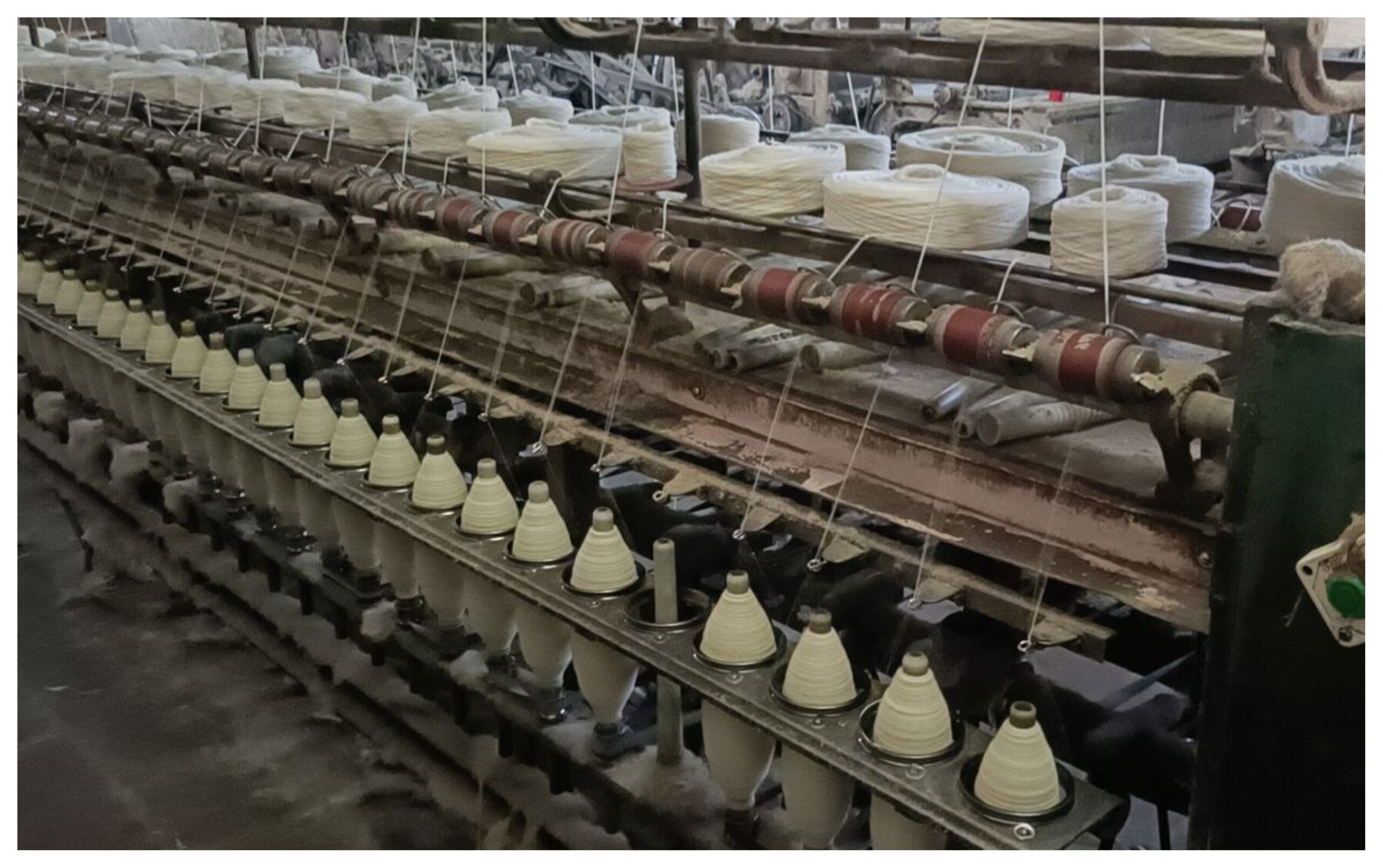 Rajasthan: Impact of tariff! Bikaner's wool and carpet industry in crisis...