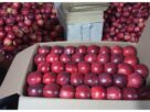 Jammu and Kashmir: Apple industry suffers major setback! National Highway closure causes losses of 12 billion rupees.