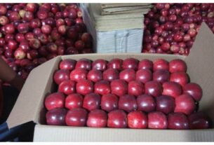 Jammu and Kashmir: Apple industry suffers major setback! National Highway closure causes losses of 12 billion rupees.