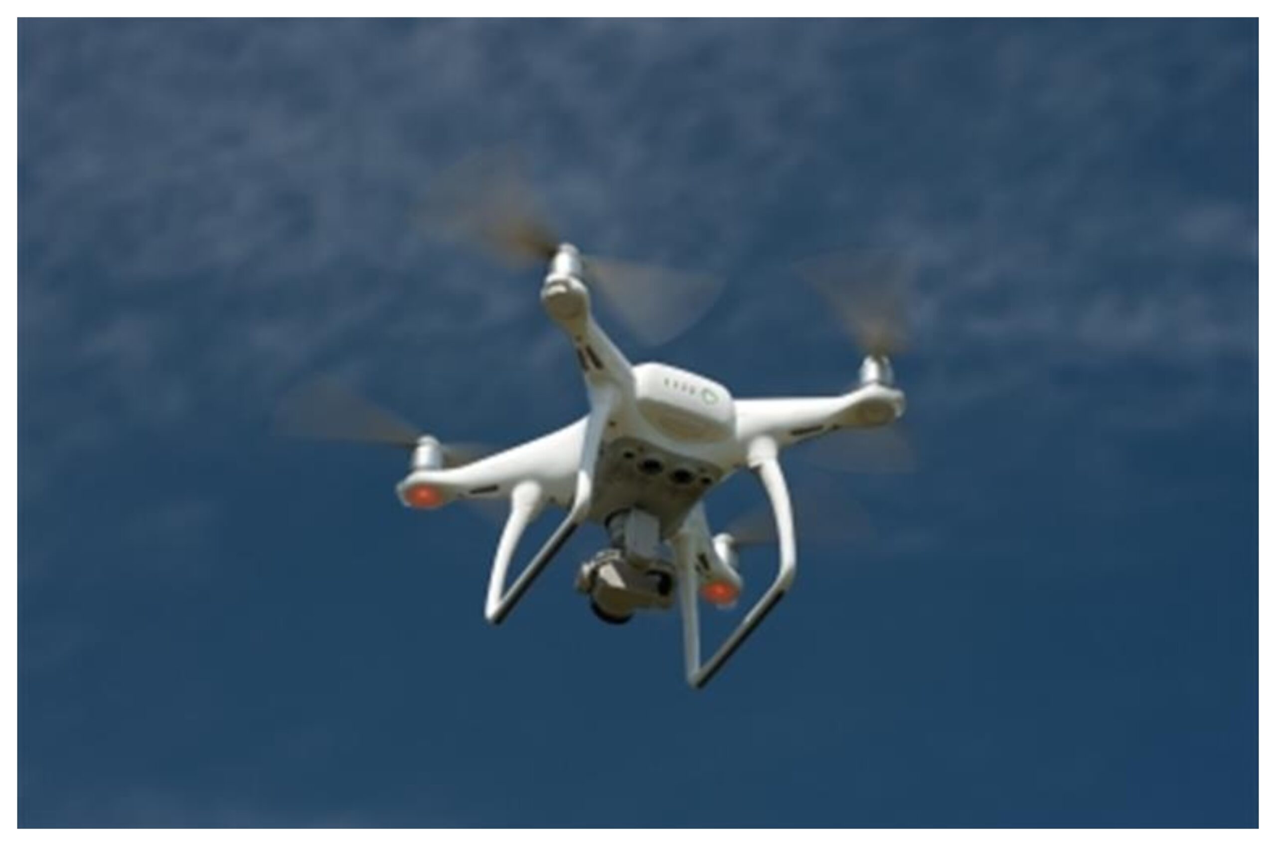Tamil Nadu: Forest department to use AI cameras and thermal sensors to prevent human-wildlife conflict in Nilgiris