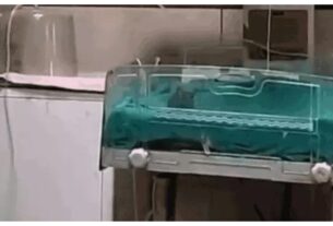 Madhya Pradesh: Rat bite, negligence in treatment! HC strict on Indore rat case, seeks response from government