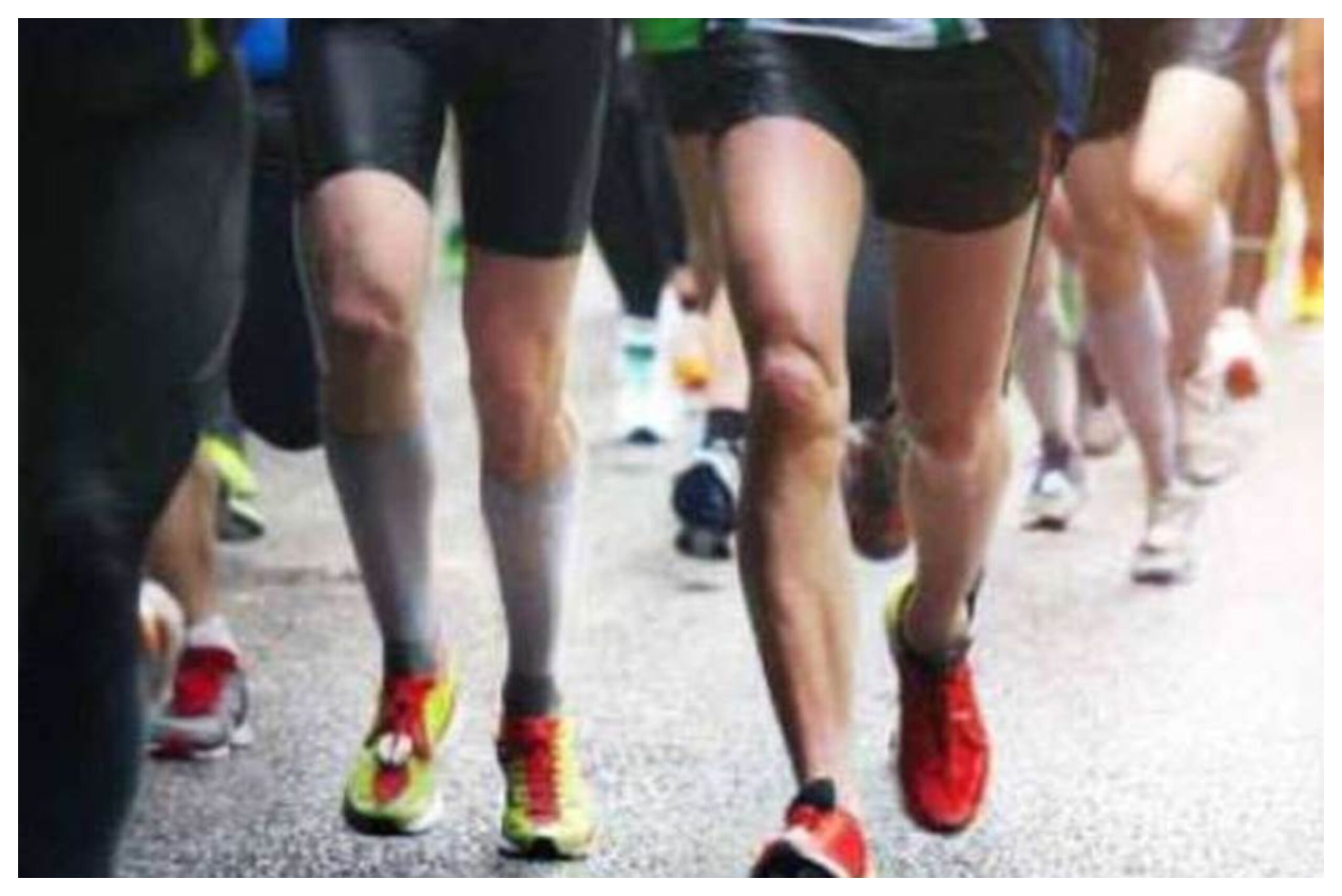 Ladakh: 'Run for Fun' marathon organised in Leh, 1,650 runners participated
