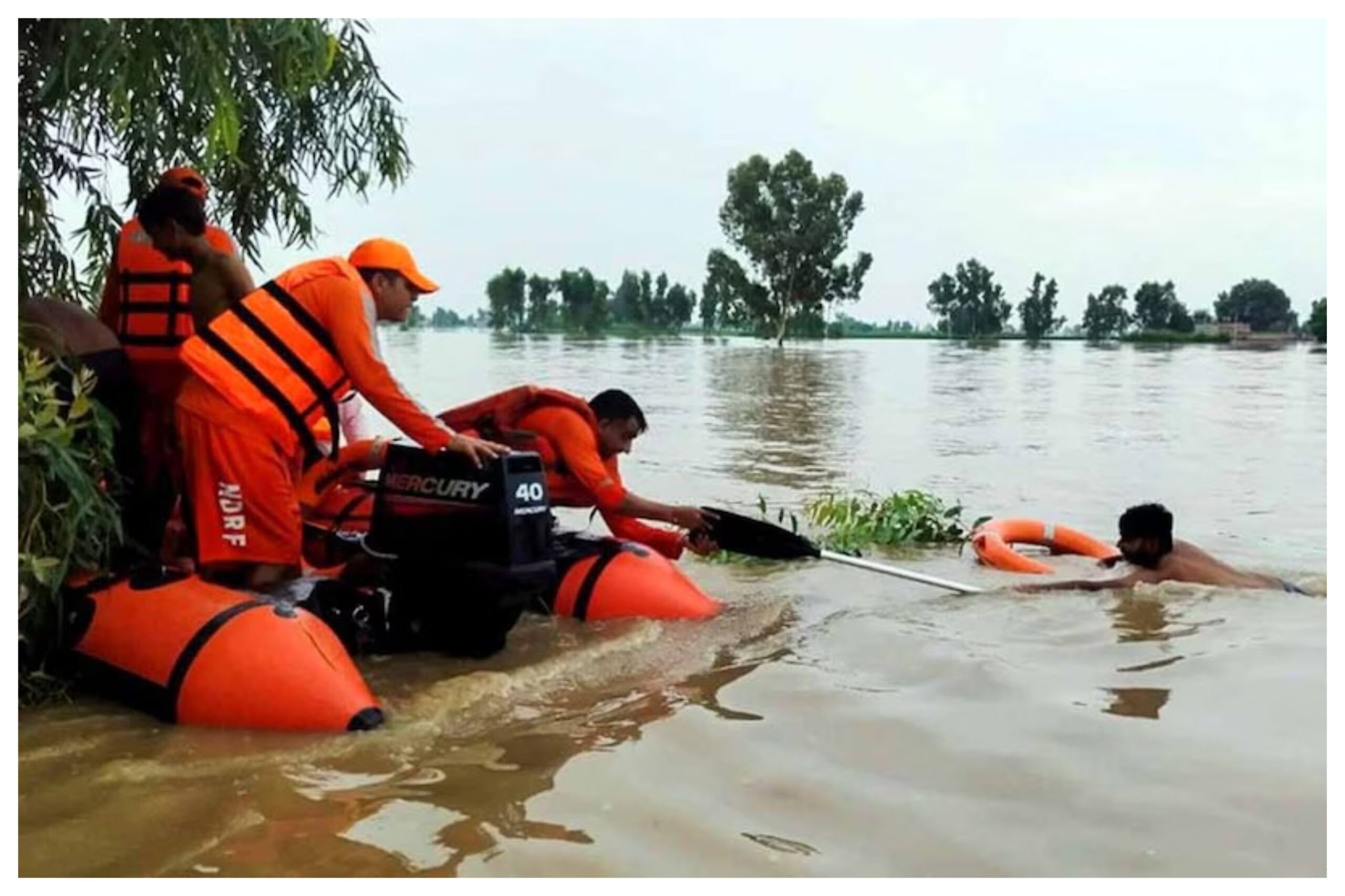 Punjab: Heavy rain in Moga and Ferozepur! Sutlej river overflows, many villages submerged