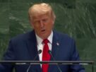 UNGA: