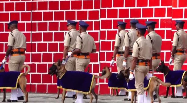 Vijayawada Dog Squad , #PassingOutParade, #TrainedDogs, #PoliceSkills, #K9Unit, #CanineTraining, #LawEnforcement, #DogHandlers, #CommunitySafety,