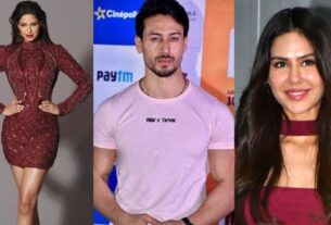 Baaghi 4 Collection