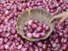 Onion Price, onion price, subsidized onion sale, food inflation, onion buffer stock, NAFED onion sale, NCCF onion sale, Prahlad Joshi, Delhi onion price,Mumbai onion price