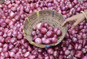 Onion Price, onion price, subsidized onion sale, food inflation, onion buffer stock, NAFED onion sale, NCCF onion sale, Prahlad Joshi, Delhi onion price,Mumbai onion price