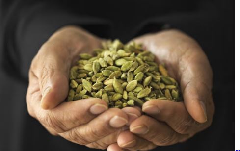 Cardamom Benefits,#HealthyMorning,#EmptyStomach,#WellnessTips,#NaturalRemedies,#BoostYourHealth,#SpiceOfLife,#AyurvedicHealing,#HealthyHabits,#MorningRoutine,