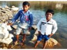 Madhya Pradesh: Two brothers die after falling into a septic tank at a government hospital in Jabalpur.