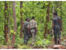Jharkhand: CRPF inspector and jawan injured in IED blast