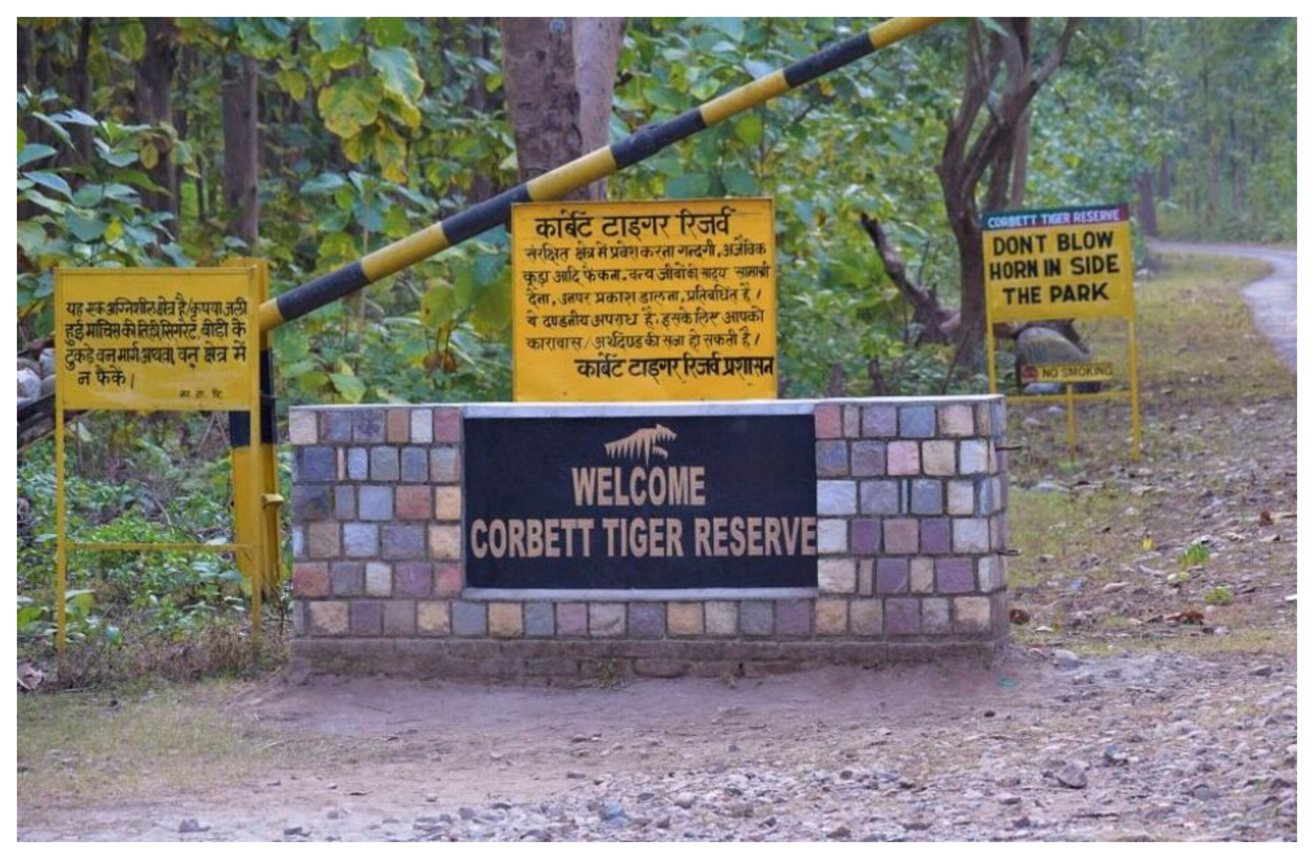 Uttarakhand: Jim Corbett Tiger Reserve, Bijrani Zone to open from October 15