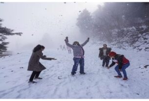 Jammu Kashmir: Kashmir wrapped in a blanket of snow, the first snowfall of the season showed a paradise-like view.