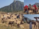 Pushkar
