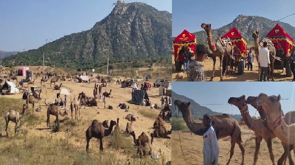 Pushkar