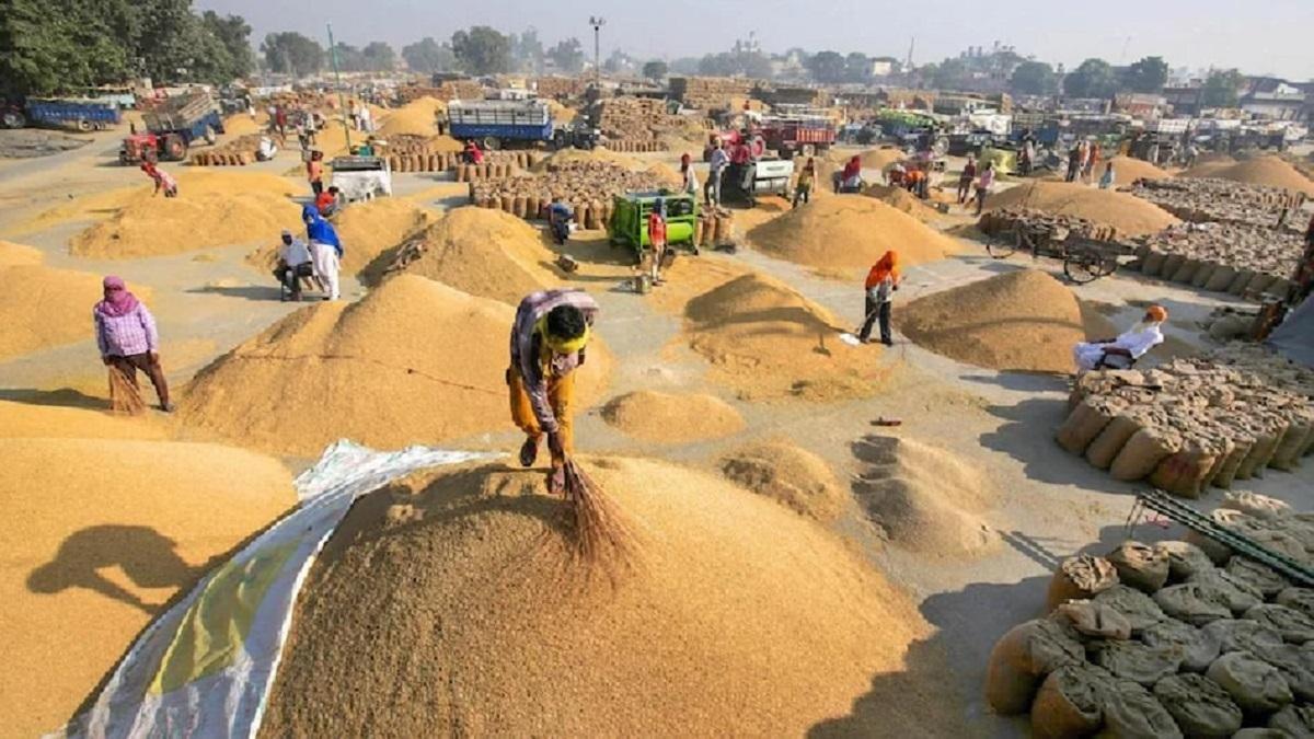 Chhattisgarh Paddy Festival