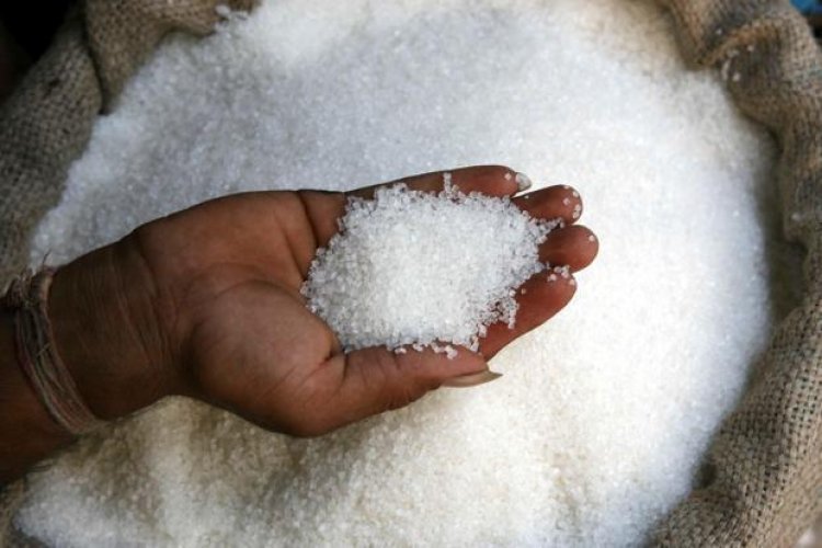 Sugar Exports