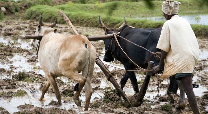 Jammu and Kashmir:
