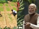 Dhan Dhanya Scheme