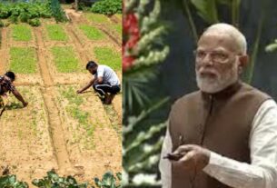Dhan Dhanya Scheme
