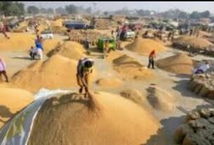 Paddy Rate, UP paddy procurement, Minimum Support Price for paddy, Farmers registration for paddy sale, Yogi government agricultural policies, Eastern Uttar Pradesh paddy procurement dates, UP KISAN MITRA app, Paddy procurement centers in UP, Minimum Support Price increase Uttar Pradesh, Lucknow News, Lucknow Latest News, Lucknow News in Hindi, Lucknow Samachar"
