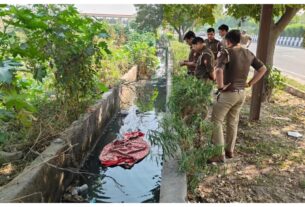 Uttar Pradesh: Woman's decapitated body found in a drain in Noida, police investigating