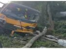 Accident News: 1 killed, 15 students injured in school bus accident near Agartala