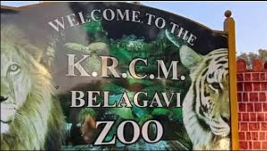 Belgavi Zoo, ,Blackbuck deaths,काले हिरणों की मौत,Bacterial infection,बैक्टीरियल संक्रमण,Animal deaths,जानवरों की मौत,Forest Minister,वन मंत्री