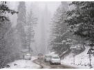 Jammu Kashmir: Snowfall in Gulmarg, Sonamarg and high altitude areas
