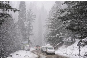 Jammu Kashmir: Snowfall in Gulmarg, Sonamarg and high altitude areas