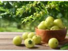 Benefits of Amla: "Cheap Amla is better than expensive avocado", you will be surprised to know its benefits...
