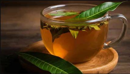 Benefits Of Mango Leaves, "mango leaf tea,benefits of mango leaves,diabetes control,Heart Health, immunity booster, weight loss drink, herbal tea, natural detox, mango leaf benefits, home remedies, healthy drink, cholesterol control