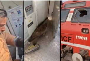 Kashmir Train Accident, Kashmir train accident, loco pilot injured, bird strike train, Baramulla Banihal train, Anantnag railway station, train windshield damage, railway mishap Kashmir, Bijbehara train incident, Kashmir rail news, train accident, Srinagar News, Srinagar Latest News, Srinagar News in Hindi, Srinagar Samachar