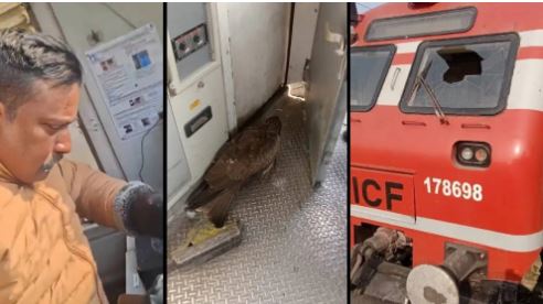 Kashmir Train Accident, Kashmir train accident, loco pilot injured, bird strike train, Baramulla Banihal train, Anantnag railway station, train windshield damage, railway mishap Kashmir, Bijbehara train incident, Kashmir rail news, train accident, Srinagar News, Srinagar Latest News, Srinagar News in Hindi, Srinagar Samachar