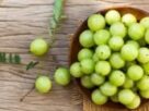 Health Benefits, superfood,vitamin c,Immunity,Amla, Immune system, Seasonal infections, Health benefits, Heart health, Cholesterol, Blood pressure, Antioxidants, Blood sugar, Anti cancer properties, DNA protection, Polyphenols,