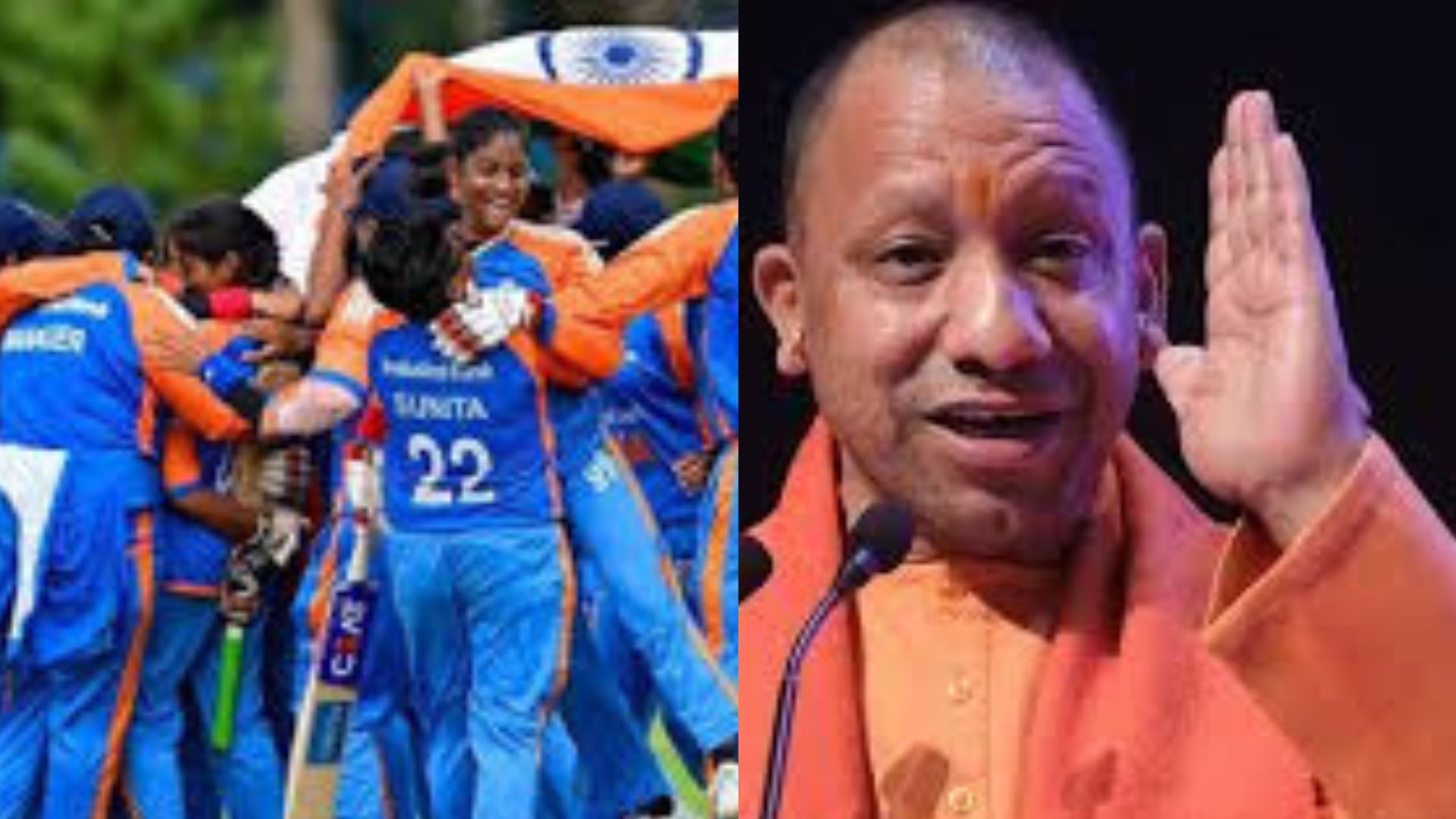 Visually Impaired Cricket