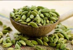 Cardamom Benefits, cardamom,benefits of cardamom,cardamom for digestion,cardamom benefits, cardamom for digestion, cardamom for weight loss, cardamom for skin, cardamom for immunity, cardamom for heart health, cardamom for diabetes, cardamom for detox, cardamom for bad breath, cardamom for stress relief, cardamom for energy, cardamom uses, cardamom health benefits, cardamom for metabolism, cardamom for overall wellness