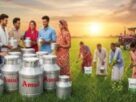 Amul world number one, ICA World Cooperative Monitor 2025, Gujarat Cooperative Milk Marketing Federation, Indian Farmers Fertiliser Cooperative Limited, cooperative sector, Amul cooperative ranking, ICA CM50 Conference, cooperative model, Amul, IFFCO"