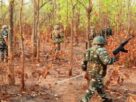 AndhraPradesh Maoist Arrests, AndhraPradesh MaoistArrests #PoliceAction #WeaponsSeized #ExplosivesRecovered #SecurityForces #LawAndOrder #CrimePrevention #PublicSafety #NationalSecurity