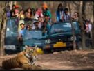 Jim Corbett National Park , JiM Corbett National Park ,corbett national park dhikala zone,corbett dhikala zone open, Opening Safari Dhikala Zone | Jim Corbett National Park