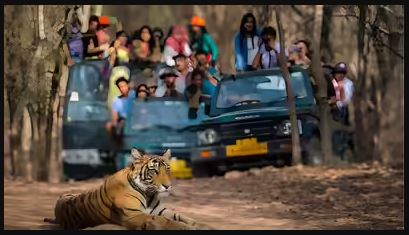 Jim Corbett National Park , JiM Corbett National Park ,corbett national park dhikala zone,corbett dhikala zone open, Opening Safari Dhikala Zone | Jim Corbett National Park
