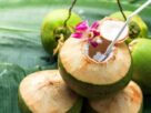 Coconut Water Side Effects, coconut water, coconut water benefits, coconut water side effects, who should not drink coconut water, coconut water and kidney disease, coconut water effect on blood sugar, coconut water for low blood pressure, drinking coconut water before surgery