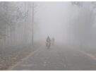 Uttar Pradesh: Dense fog engulfs several districts amid severe cold, impacting daily activities