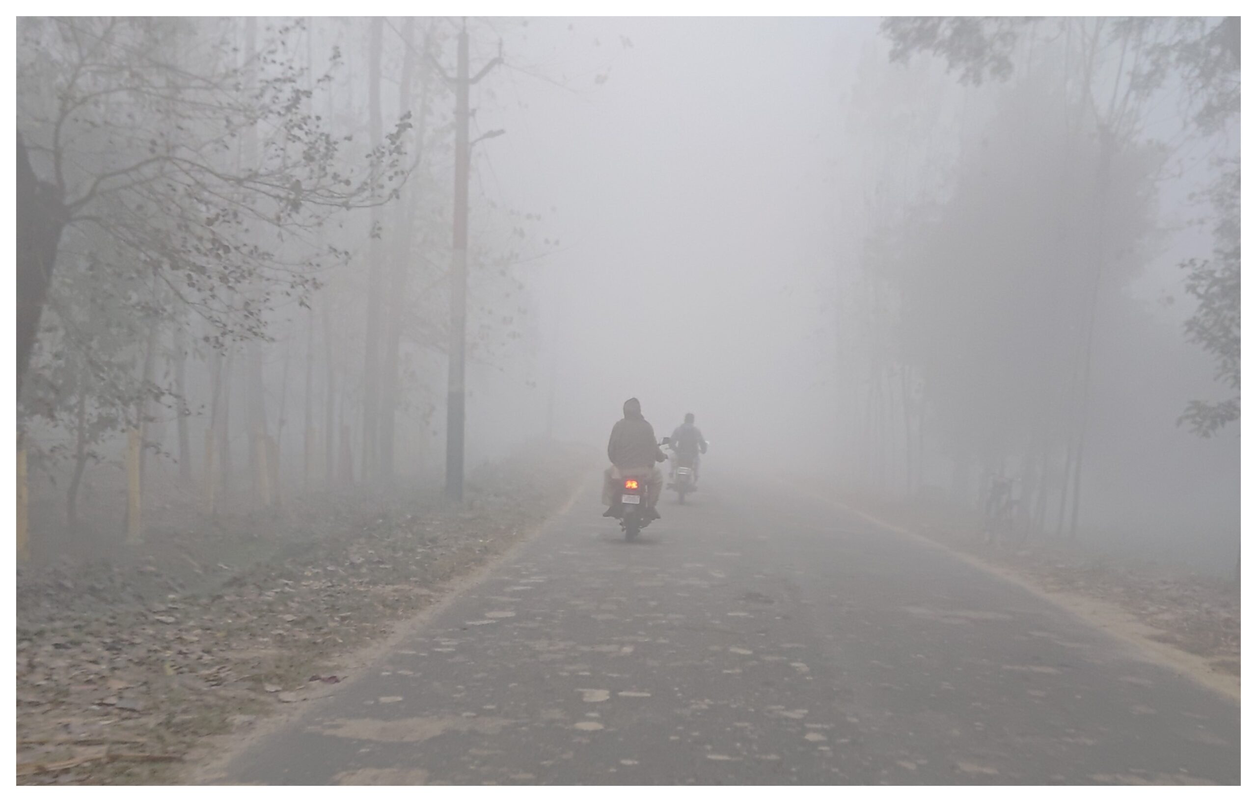 Uttar Pradesh: Dense fog engulfs several districts amid severe cold, impacting daily activities
