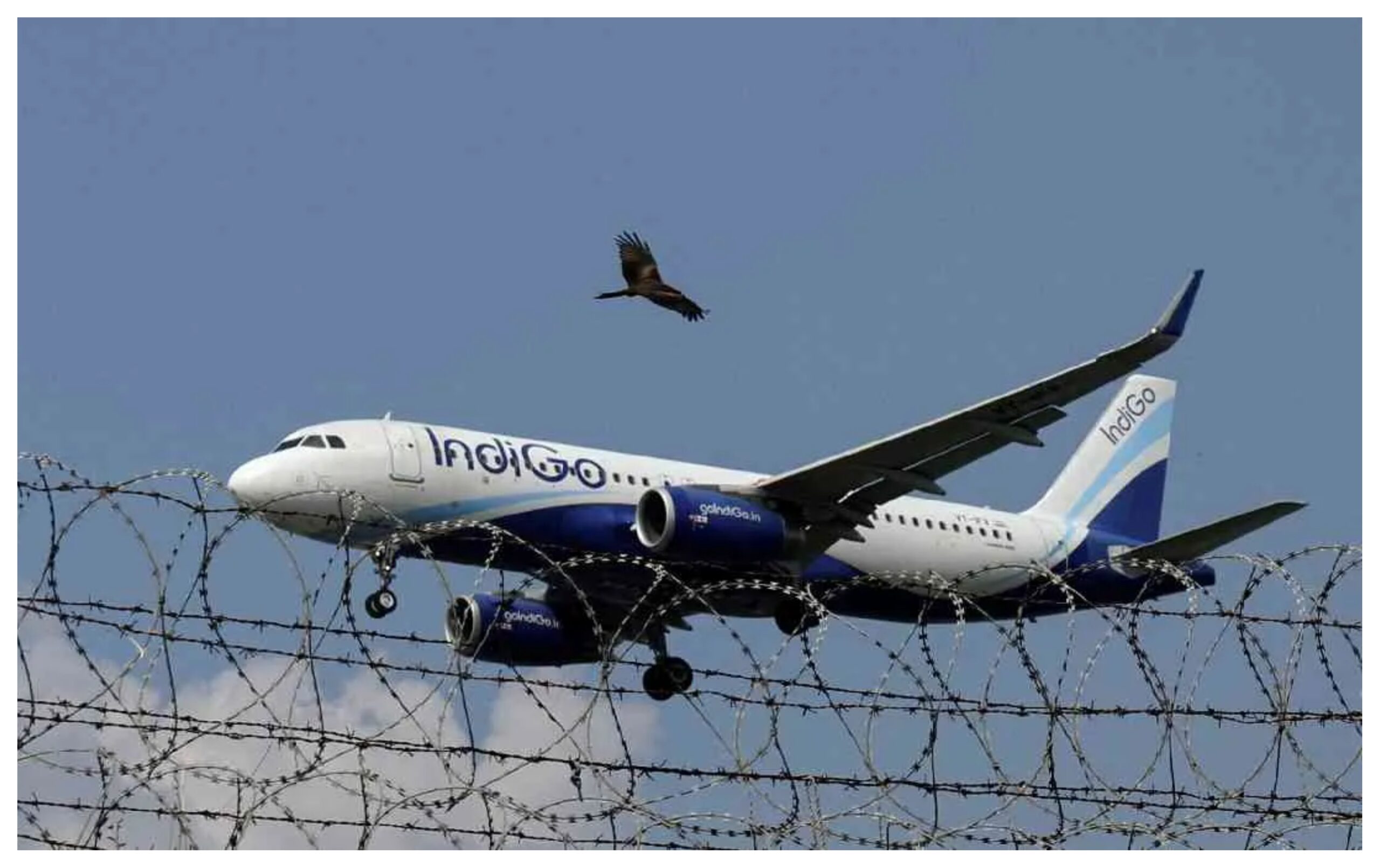 Indigo Flights: Indigo cancels 60 flights from Bengaluru, plans to operate over 1,950 flights today
