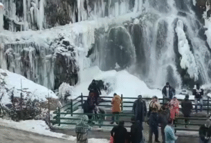 Jammu Kashmir: Icy cold in Kashmir! Sub-zero temperatures, dense fog...