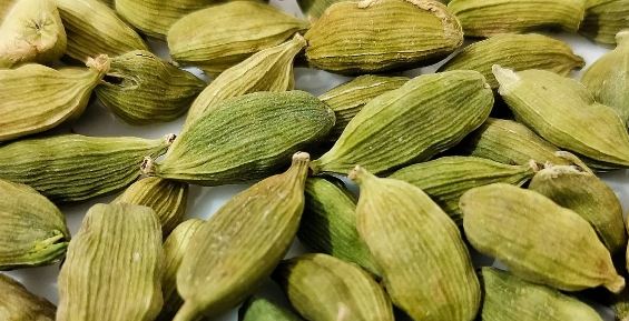 Cardamom Health Benefits, green cardamom, hari elaichi, green cardamom health benefits, why to chew green cardamom, health benefits of hari elaichi, hari elaichi khane ka tarika, hari elaichi chabane ke fayde, hari elaichi khane ka tarika,